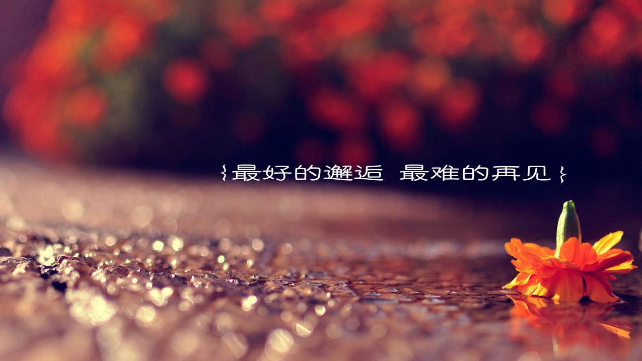 快手业务自助平台业务下单真人,抖音业务24小时在线下单免费,Ks24小时低价秒单业务